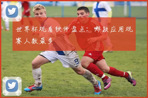 世界杯观看软件盘点:哪款应用观赛人数最多