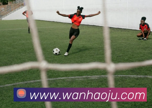 玩滚球的安全平台app官网品牌故事