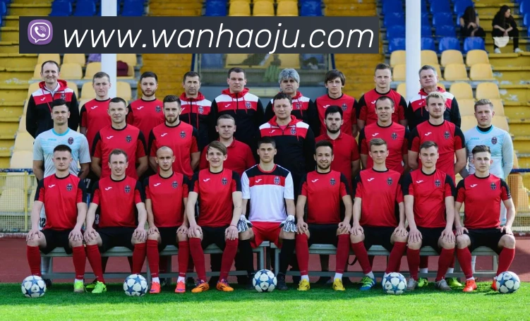 玩滚球的安全平台app官网服务体系